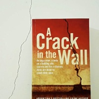A Crack in the Wall - Claudia Piñeiro (tr. Miranda France)